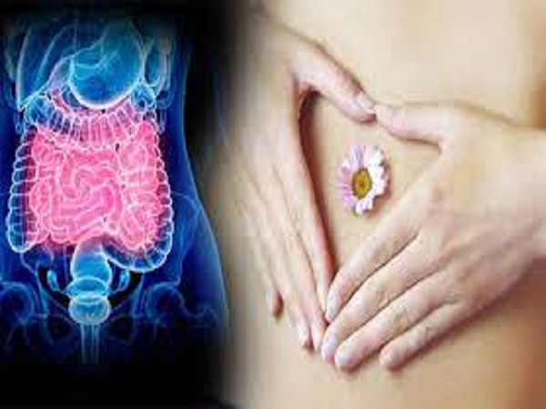 1. ಕರುಳಿನ ಆರೋಗ್ಯ ಗುಣಪಡಿಸುವುದು