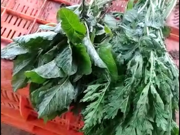 ವೈರಲ್ ವೀಡಿಯೋ ವೈರಲ್ ವೀಡಿಯೋ