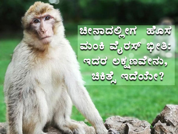 ಮಂಕಿ ವೈರಸ್‌ (ಬಿವಿ) ಎಂದರೇನು?