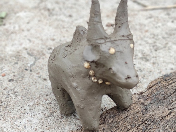 ಮಣ್ಣೆತ್ತಿನ ಅಮವಾಸ್ಯೆ ಆಚರಣೆ ಹೇಗೆ ಮಾಡಲಾಗುವುದು?