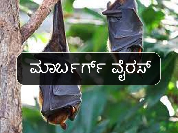 ಮಾರ್ಬರ್ಗ್‌ ವೈರಸ್‌ ಎಂದರೇನು?