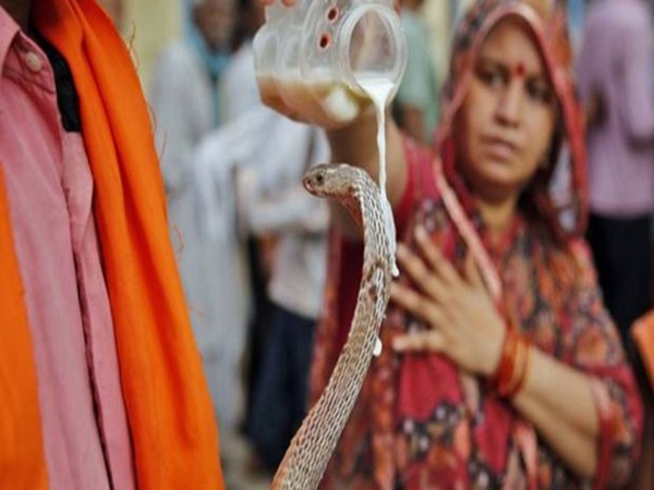  ನಾಗ ಪಂಚಮಿ ಪೂಜಾ ವಿಧಿ