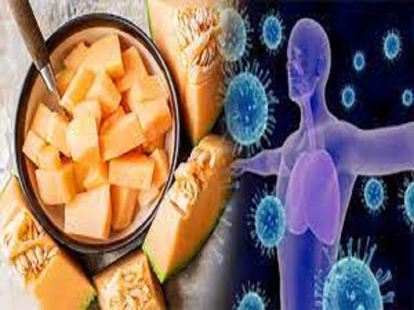 2. ಪ್ರತಿರಕ್ಷಣಾ ವ್ಯವಸ್ಥೆಯನ್ನು ಹೆಚ್ಚಿಸುತ್ತದೆ