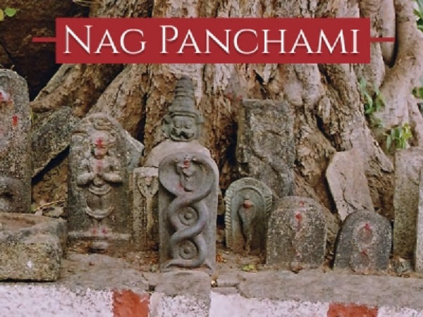 ನಾಗರ ಪಂಚಮಿ ದಿನದಂದು ಈ ಕೆಲಸಗಳನ್ನು ಮಾಡಬೇಡಿ: