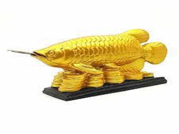 ಅರೋವಾನಾ ಮೀನಿನ ವಿಶೇಷತೆಯೇನು?