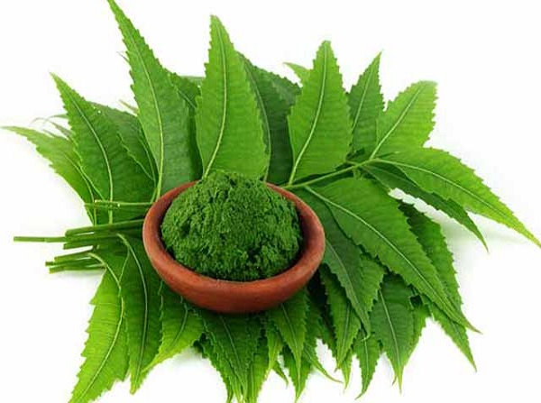 ಪುದೀನಾ ಫೇಸ್ ಮಾಸ್ಕ್: