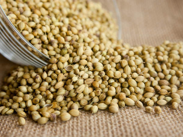 ಕೊತ್ತಂಬರಿ: