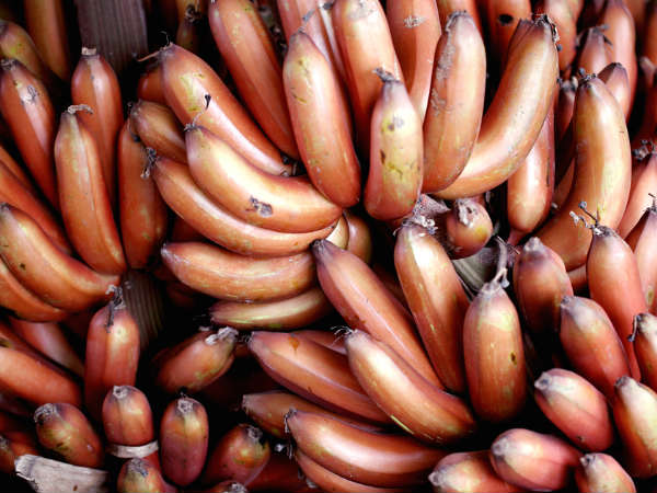 ಕೆಂಪು ಬಾಳೆಹಣ್ಣನ್ನು ಸೇವಿಸುವ ವಿಧಾನ: