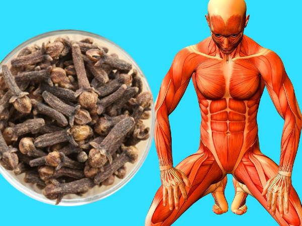 1. ಪ್ರತಿರಕ್ಷಣಾ ವ್ಯವಸ್ಥೆಯನ್ನು ಬಲಪಡಿಸುವುದು: