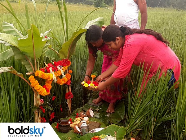 ತಾಳಿಸರವನ್ನೇ ಬಿಚ್ಚಿ ತೋರಣವಾಗಿ ಕಟ್ಟಿ ಪೂಜೆ
