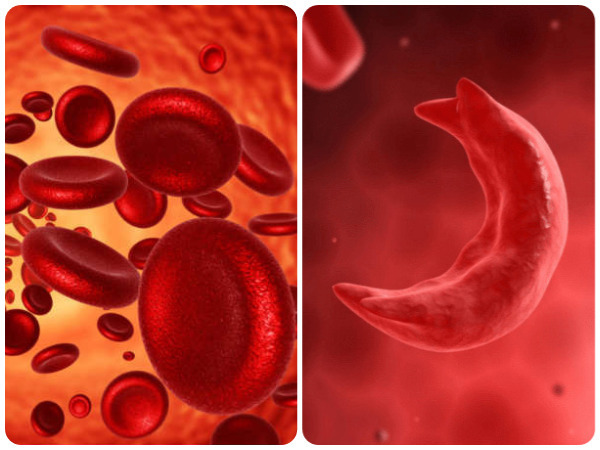 ಜೀವಕೋಶಗಳ ಪುನರುತ್ಪಾದನೆ: