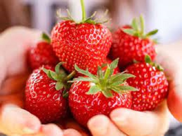 5. ಚರ್ಮದ ಟೋನ್