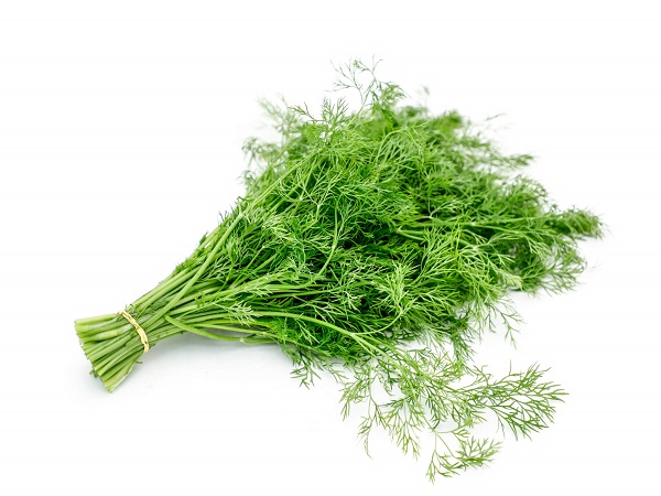 7. ಸಬ್ಬಸ್ಸಿಗೆ ಸೊಪ್ಪು