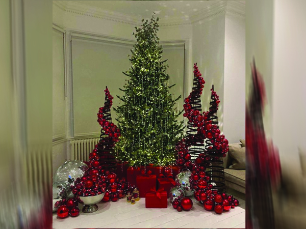 ಗ್ರೀನ್ ಅಂಡ್ ರೆಡ್ವೈನ್ ಕಾಂಬಿನೇಷನ್ ಗ್ರೀನ್ ಅಂಡ್ ರೆಡ್ವೈನ್ ಕಾಂಬಿನೇಷನ್