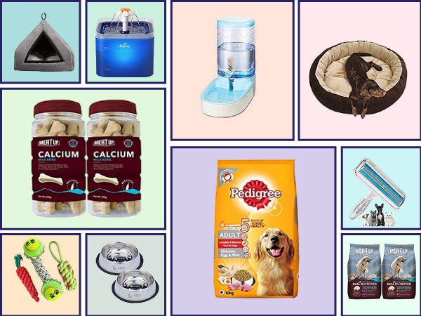 Amazon Sale: Get Up To 50% Off On Pet Supplies, Water Feeder, Stainless Steel Feeding Bowl And More