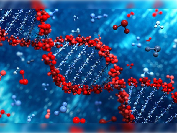  ಬೆಂಟಾ ಪತ್ತೆ ಹೇಗೆ?