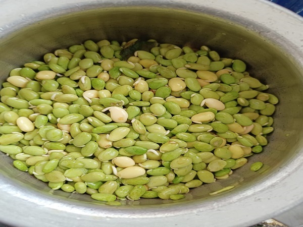 Hitkidbele chicken sambar 