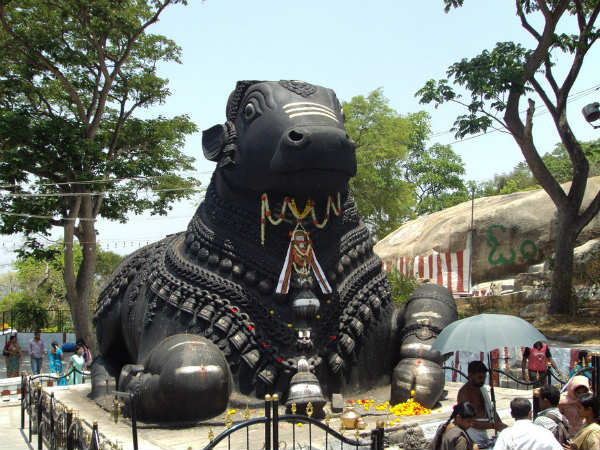 ನಂದಿ ಅವತಾರ