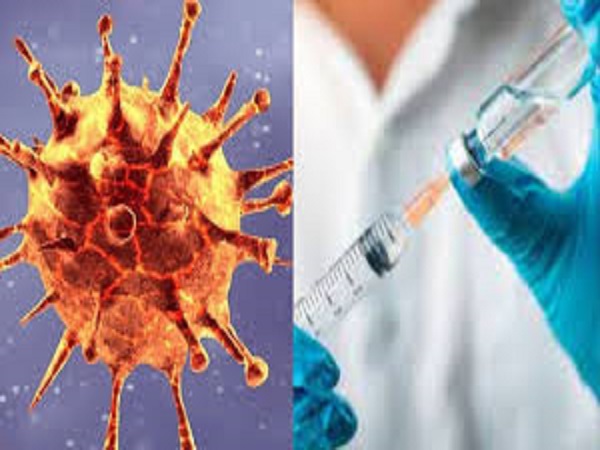 ಕಾರ್ಬೆವ್ಯಾಕ್ಸ್ ಲಸಿಕೆ ಎಷ್ಟು ಡೋಸ್ ನೀಡಲಾಗುವುದು ಕಾರ್ಬೆವ್ಯಾಕ್ಸ್ ಲಸಿಕೆ ಎಷ್ಟು ಡೋಸ್ ನೀಡಲಾಗುವುದು