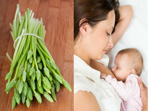 3. ಶತಾವರಿ