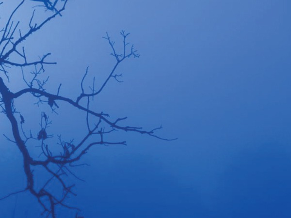 ನೀಲಿ ಬಣ್ಣ