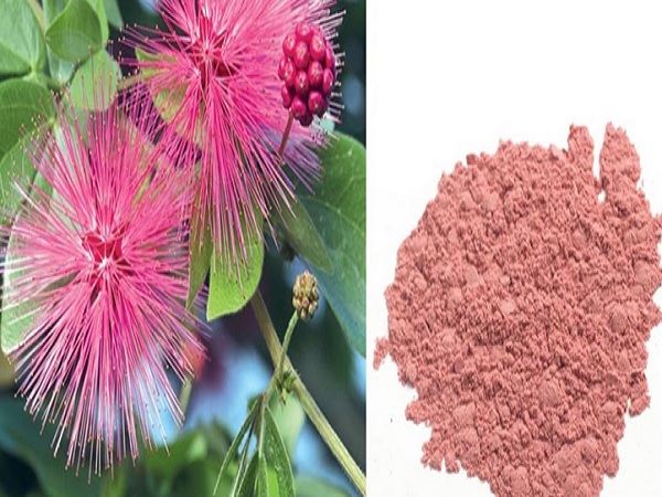 6. ಪ್ರವಲ್ ಪಿಷ್ಟಿ