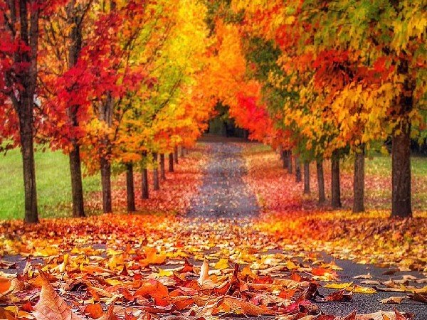 2022ರಲ್ಲಿ ವಸಂತ ಋತುವಿನ ಪ್ರಾರಂಭ ಯಾವಾಗ?