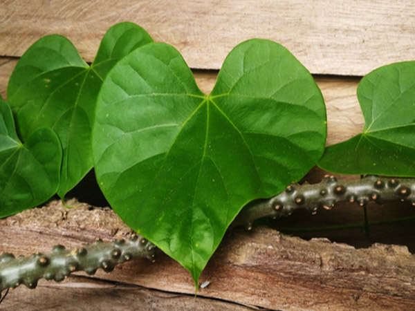 ಏನಿದು ಸಂಶೋಧನೆ?: