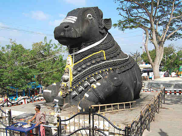ಶಿವನ ಮೇಲೆ ನಂದಿಗಿರುವ ಪ್ರೀತಿ, ನಂದಿಯ ಶ್ರಮವನ್ನು ಮೆಚ್ಚಿದ ಶಿವ