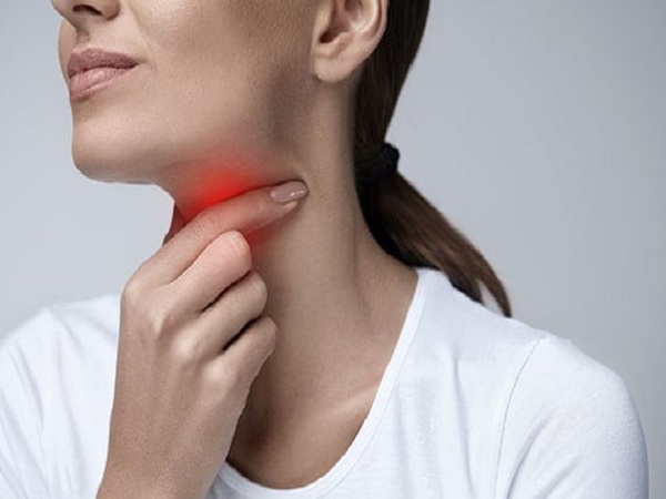 ಪರೋಟಿಡ್ ಗ್ರಂಥಿ: