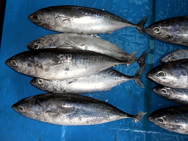 ತೂಕ ಇಳಿಕೆಗೆ ಸಹಕಾರಿ