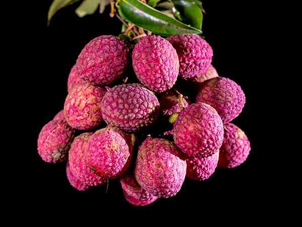 2. ವಿಷಕಾರಿ ವಸ್ತು ಇದೆ