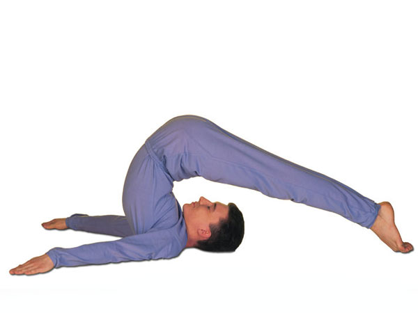 ಒಂದು ನಿಮಿಷ ಹಾಲಾಸನ ಮಾಡಿದರೆ ಸಾಕು ಹೊಟ್ಟೆ ಬೊಜ್ಜು ಕರಗುತ್ತೆ