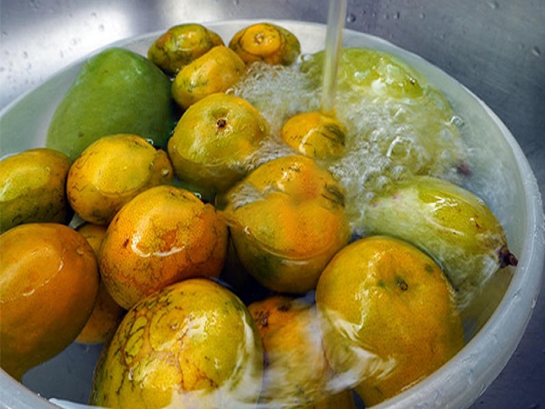 ಮಾವಿನ ಹಣ್ಣುಗಳು