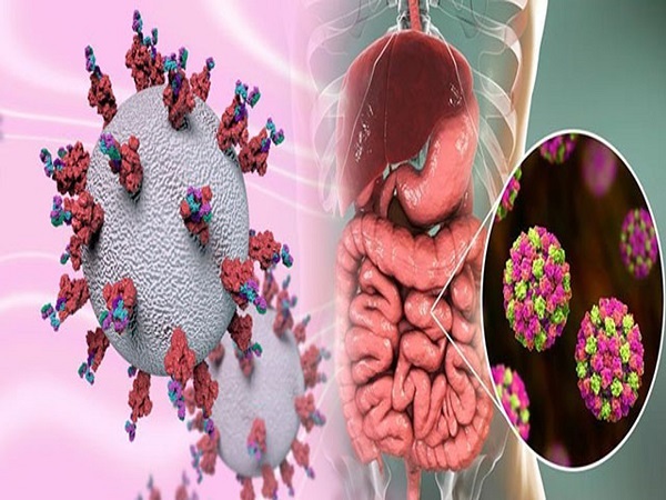 ನೋರವೈರಸ್‌ ಹೇಗೆ ಹರಡುತ್ತದೆ