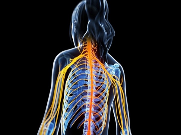 ತೂಕ ಇಳಿಕೆ