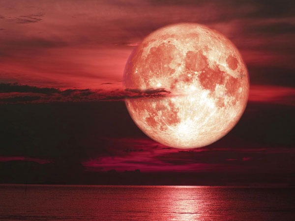 ಹನಿಮೂನ್ ಹನಿಮೂನ್