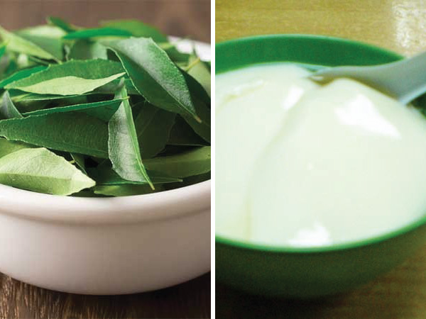 1.ಮೊಸರು ಮತ್ತು ಕರಿಬೇವಿನ ಹೇರ್‌ ಮಾಸ್ಕ್‌