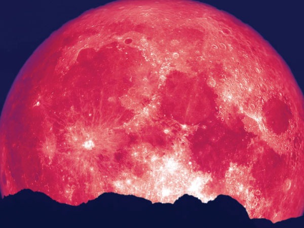 ಭಾರತದಲ್ಲಿ ವಟ ಪೂರ್ಣಿಮೆ ಭಾರತದಲ್ಲಿ ವಟ ಪೂರ್ಣಿಮೆ