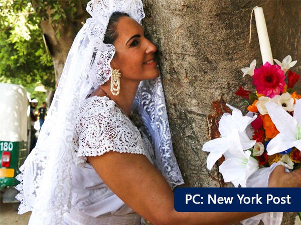 ಮರದೊಂದಿಗೆ ವಿವಾಹ!