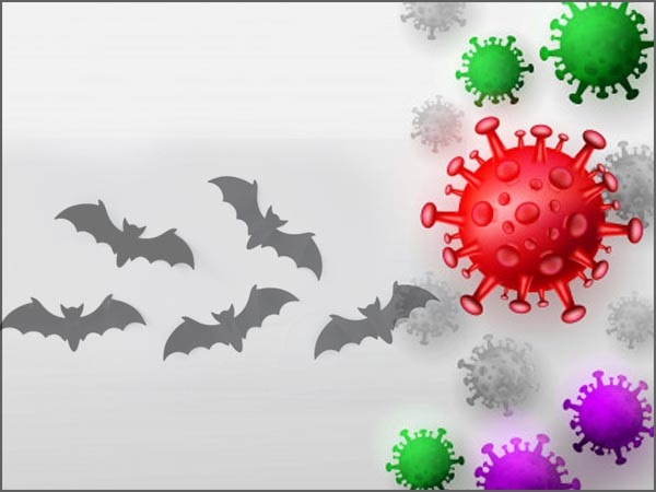 ಮಾರ್ಬರ್ಗ್ ವೈರಸ್‌ ಎಂದರೇನು?