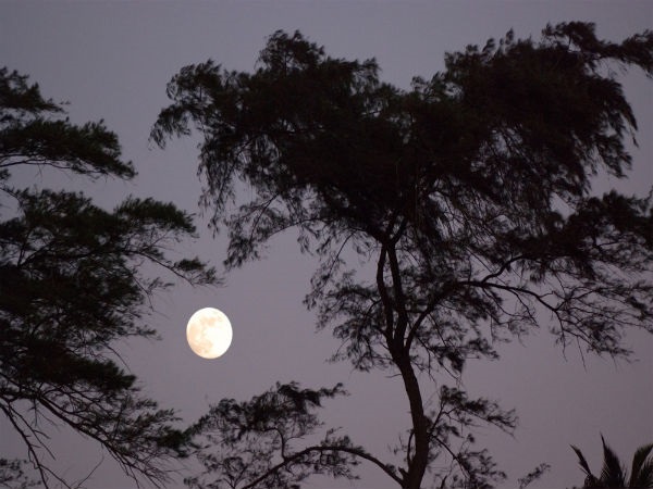 ಶ್ರಾವಣ ಮಾಸದಲ್ಲಿ ಶುಕ್ಲ ಪಕ್ಷ ಹಾಗೂ ಕೃಷ್ಣ ಪಕ್ಷ