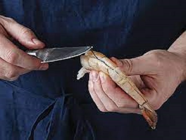 ಚಿತ್ರ ಕೃಪೆ: ಗೂಗಲ್