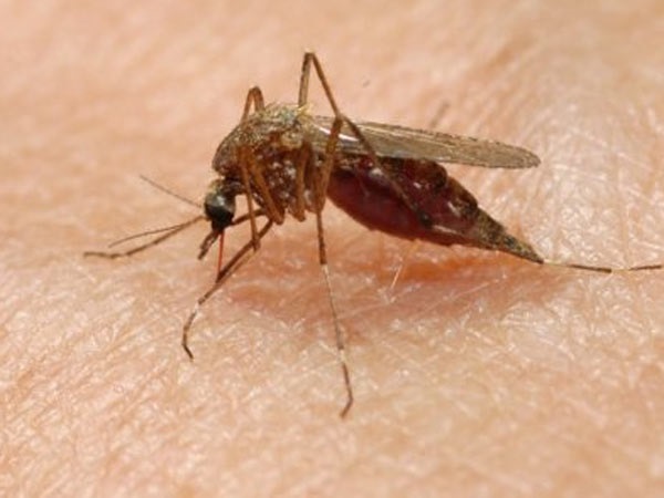 ಈ ಸೋಂಕು ತಡೆಯಲು ಯಾವ ಕ್ರಮ ಕೈಗೊಳ್ಳಬಹುದು..?