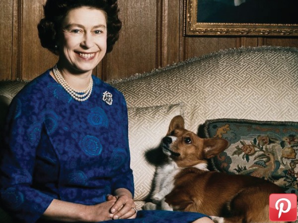 ರಾಣಿ ತಾವು ತಿಂದ ಪಾತ್ರೆಯನ್ನು ತಾವೇ ತೊಳೆಯುತ್ತಾರೆ