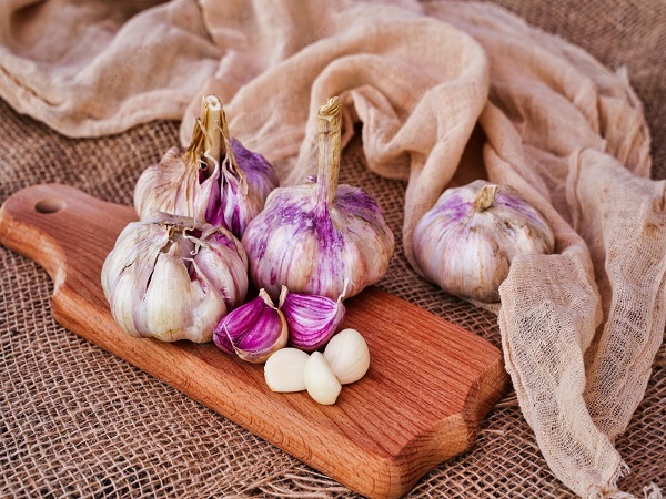 ನೇರಳೆ ಬೆಳ್ಳುಳ್ಳಿ