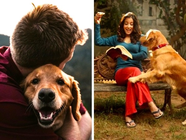 ಸಾಮಾಜಿಕತೆ ಮತ್ತು ಒಂಟಿತನ ನಿವಾರಣೆ: