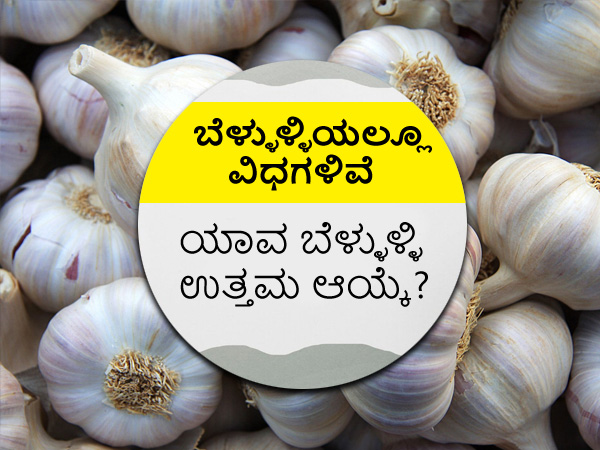 ಈ ಎಲ್ಲಾ ಬೆಳ್ಳುಳ್ಳಿಯಲ್ಲಿ ಯಾವುದು ಉತ್ತಮ?