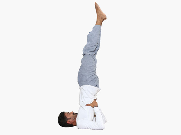 Yoga Poses To Blood Purification