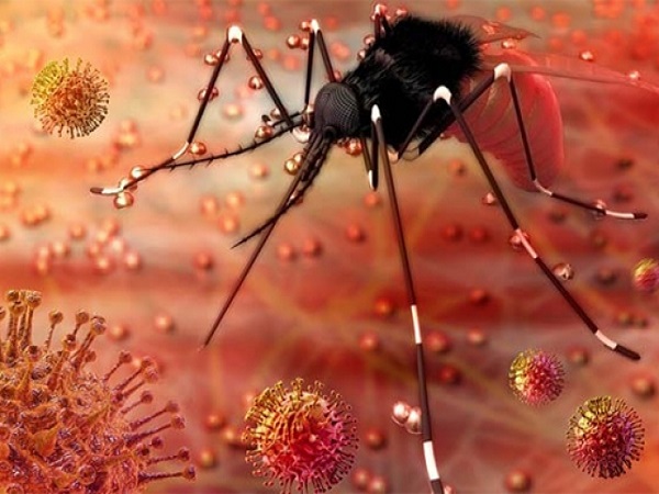 ಝೀಕಾವೈರಸ್‌ ಗರ್ಭಿಣಿಯರಿಗೆ ತುಂಬಾ ಅಪಾಯಕಾರಿ ಏಕೆ?